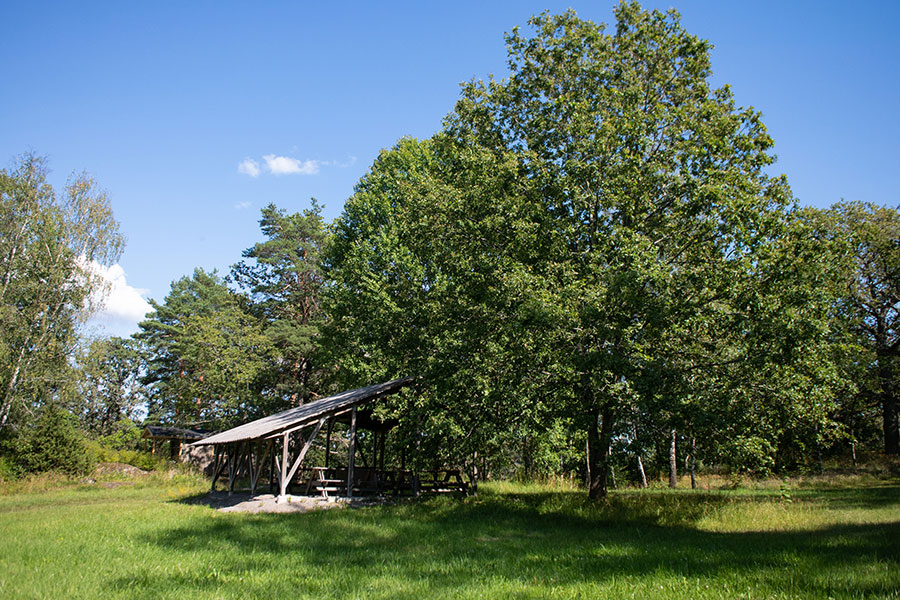 Grillplatsen på Farstanäset. Foto: Tomas Wikström