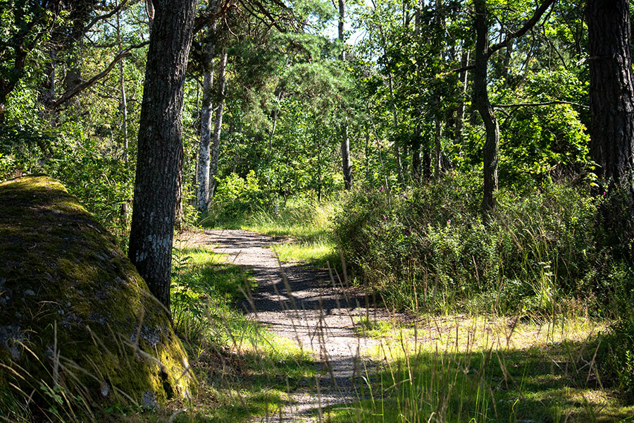 Naturstig, Farstanäset. Foto: Tomas Wikström