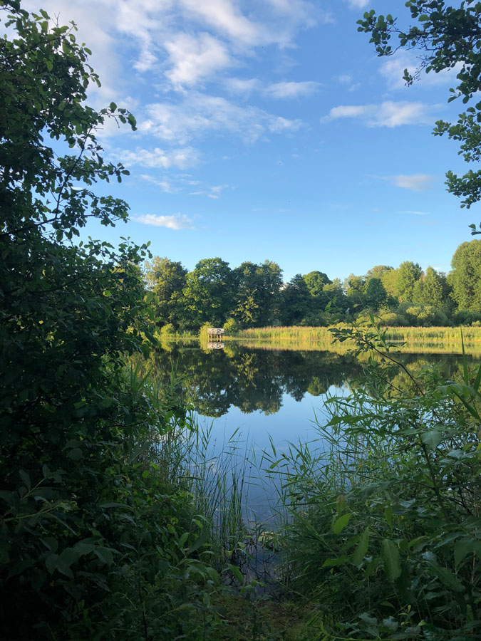 Vacker miljö Farstanäset, Stockholm. Foto: Tomas Wikström