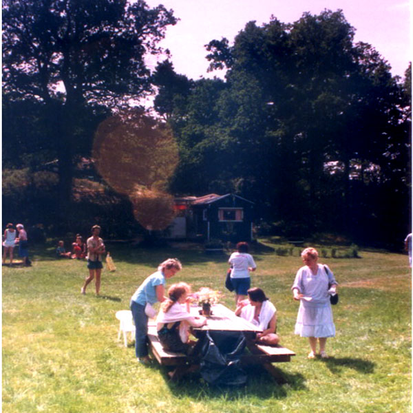 Sommar med Farstanäsets stugförening, Stockholm, 1990