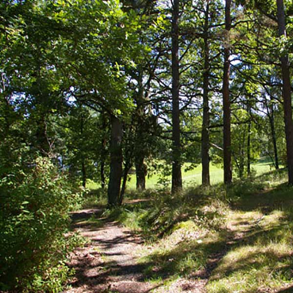 Mysiga promenadstigar på Farstanäset